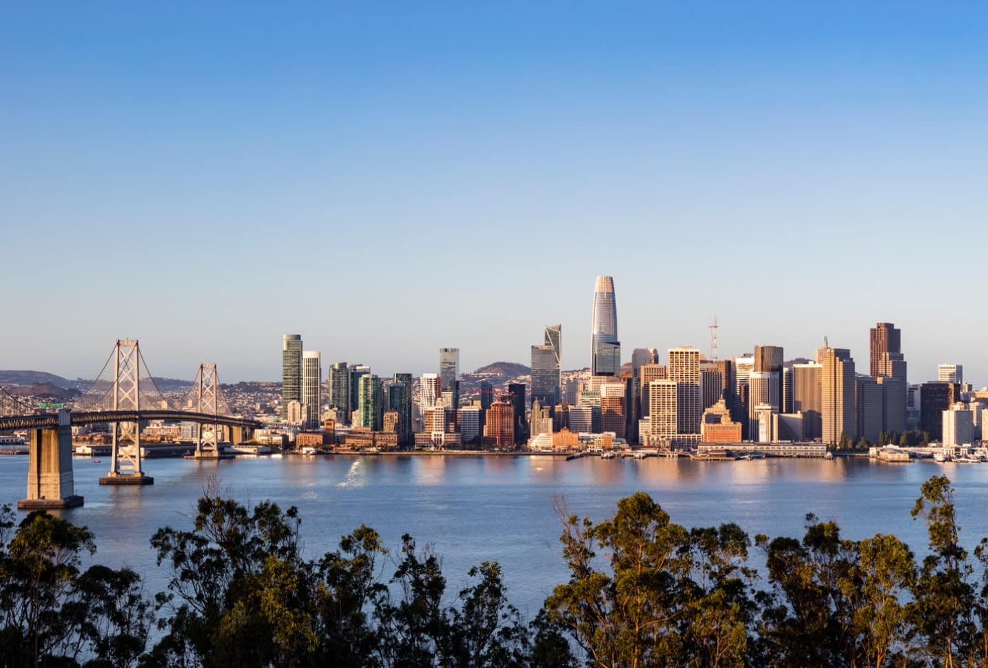 ybi-greenspace-1-min (1)